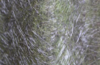 Halton fibreglass roof work